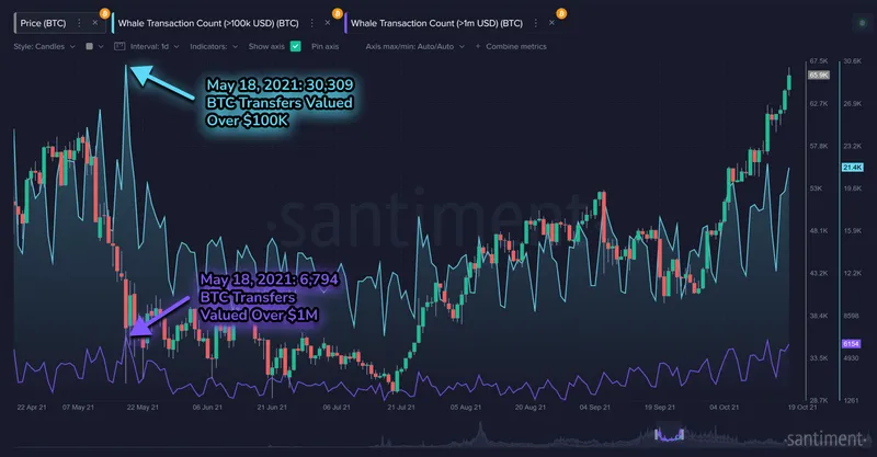 71a9506a990d0e4b21b6e53575c2d85b3924797dcbc89b2d785ab722d42d9e66_1749762129456_Screenshot%202025-06-11%20002448